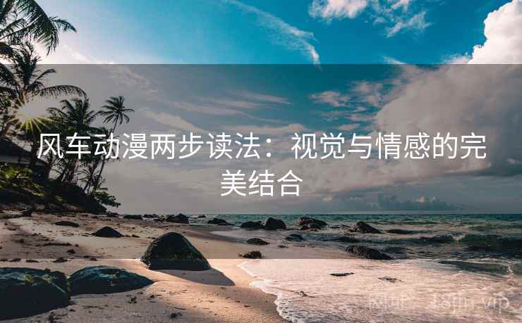 风车动漫两步读法：视觉与情感的完美结合